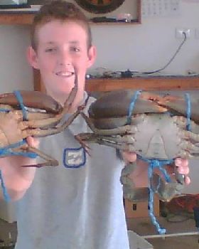 ive got crabs
