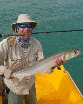 bloody big herring