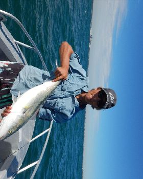 salmon
