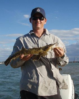Nice little flattie