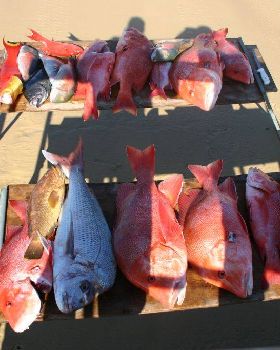 Fishing