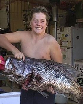 14 Kg Dhuie