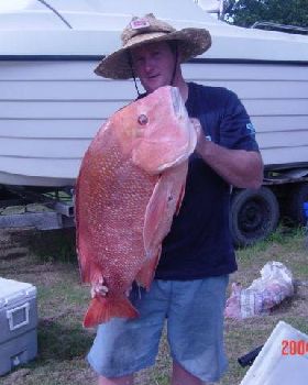 16kg red rainbow beach