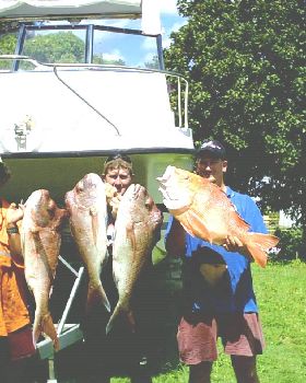 overnighter 10kg snapper feral