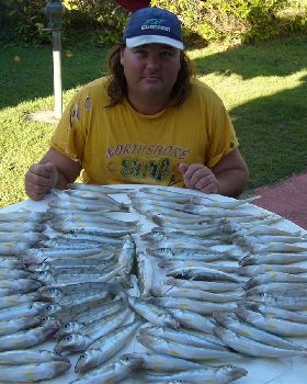 A few good whitting
