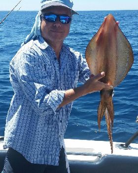 Nice squid
