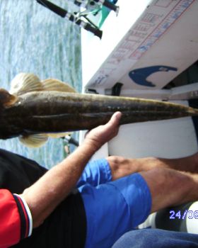 86cm flathead (to bad we had to throw her back)