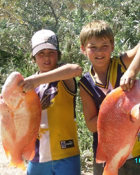 my bro and cuz holding their red emperors