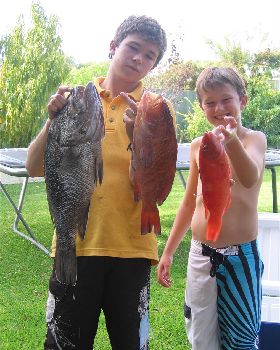 nice day out 2 dhuies, 1 blackass, 1 pinky and 2 sambos