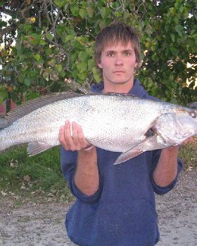 9kg jewfish speared