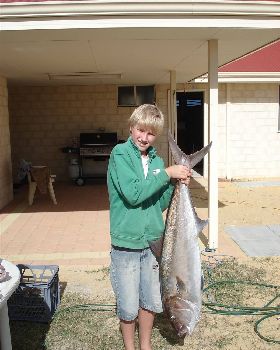 15kg Sambo caught off Jurien Bay