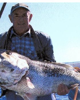 dads 21kg dhuie
