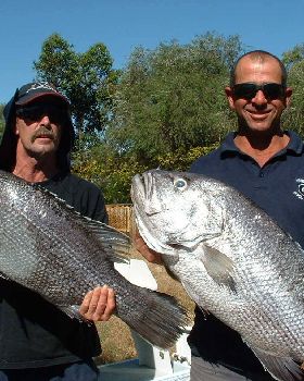 mark and tony