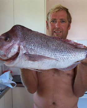 nice reds by AL & Darren