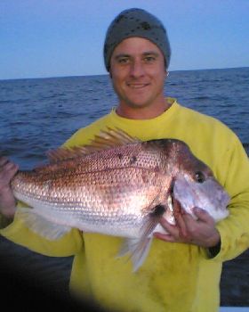 nice reds by AL & Darren