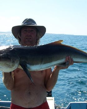 cobia byAL