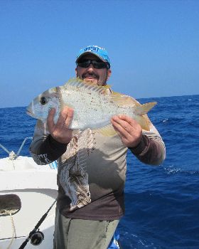 Afternoon fish was a good change up!