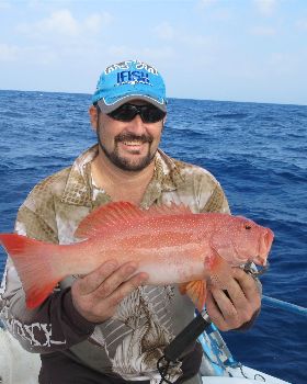 Afternoon fish was a good change up!