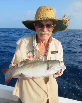 Afternoon fish was a good change up!