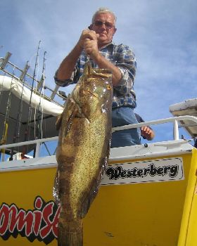 17 KG Cod (Klaus)
