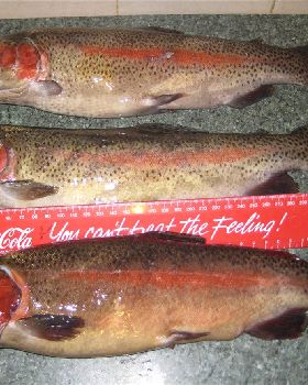 some nice rainbows