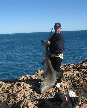 Bronze Whaler Quobba Station WA