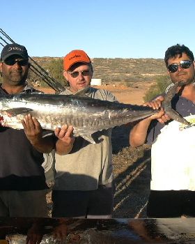 Spanish Mackerel Quobba Station WA