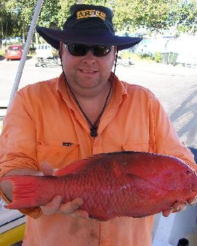 Just another variety caught off Cape Moreton 