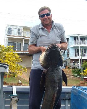 Cobia- 29.5kg