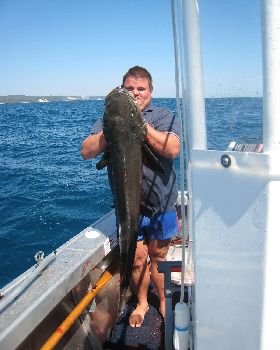 16kg cobia on light gear