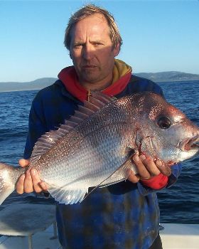 4kg red