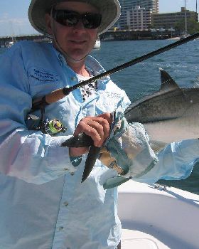 gold coast trevally