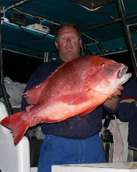 14.5kg red