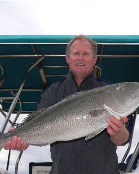 green jobfish