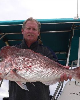 nice snapper