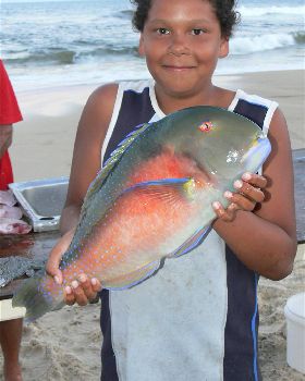 jacks tusk fish
