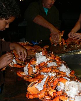 cleaning spanner crabs 