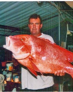 wades red 