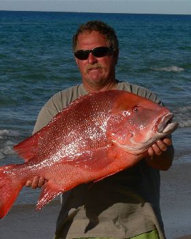 14 kilo red 
