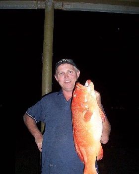  Dampier Archipelago coral trout