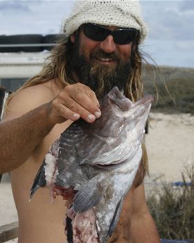 Steep Point WA Sharks
