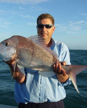 Moreton Bay Snapper