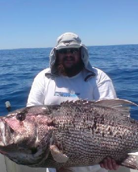 phill out near rotto