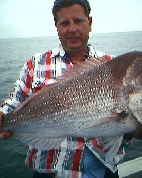 moreton bay plastics snapper