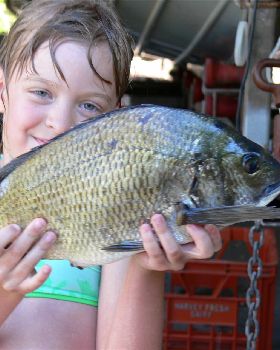 46cm bream