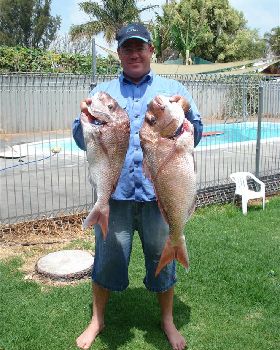 2 Good Snapper caught inside Rotto. Big one over 7kg