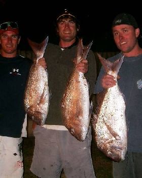 A few out the back of the islands