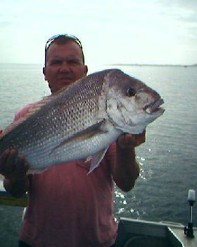 Snapper 