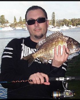 49cm black bream
