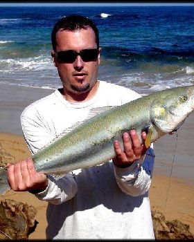 Nice salmon i caught